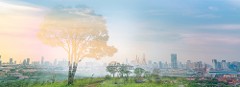 Économie verte : les objectifs de la France d’ici 2040