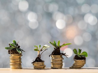 Start-up : les jeunes pousses européennes peinent à se développer
