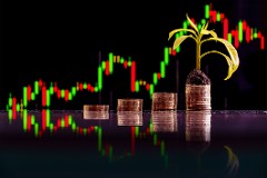 Bourse : rebond des petites valeurs en 2025